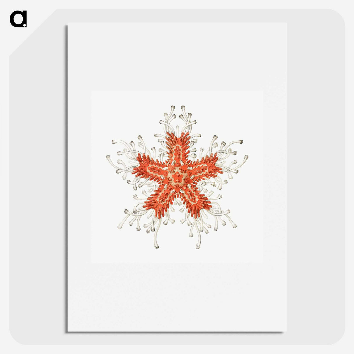 1-94_Ernst-Haeckel_picture