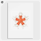Vintage starfish marine life illustration - エルンスト ヘッケル Poster.