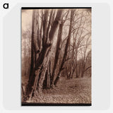 1-94_Eugene-Atget_picture-crop
