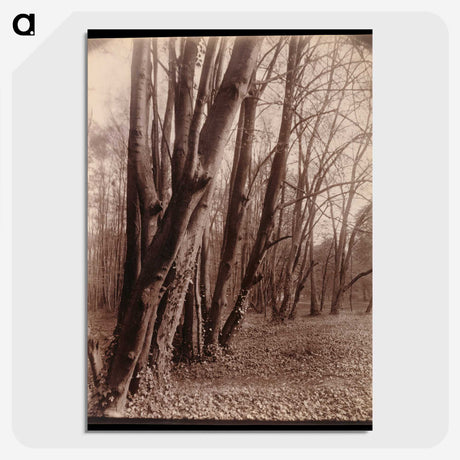 1-94_Eugene-Atget_picture-crop