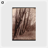 アートポストカード-The Park at Saint-Cloud
 - ウジェーヌ アジェ Postcard.