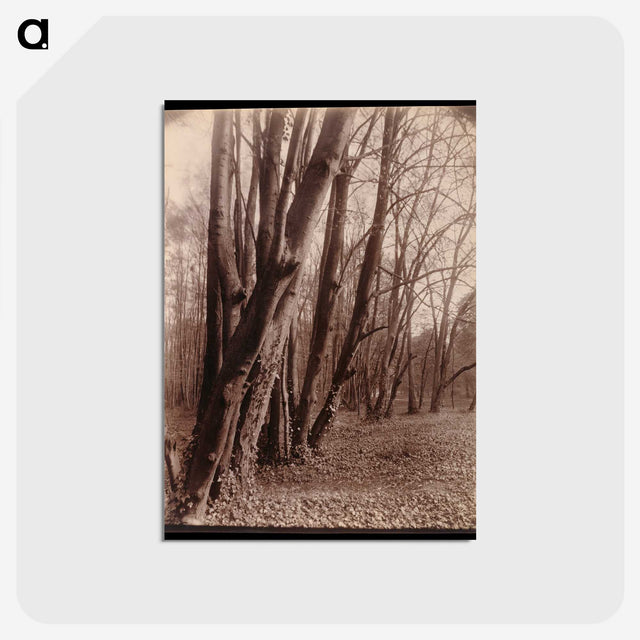 1-94_Eugene-Atget_postcard