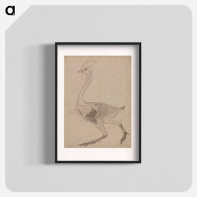 アートポスター-Fowl Body, Lateral View
 - ジョージ スタッブス Poster.