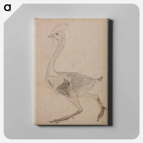 アートパネル-Fowl Body, Lateral View
 - ジョージ スタッブス Canvas.
