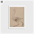 アートポストカード-Fowl Body, Lateral View
 - ジョージ スタッブス Postcard.