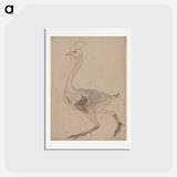 アートポストカード-Fowl Body, Lateral View
 - ジョージ スタッブス Postcard.