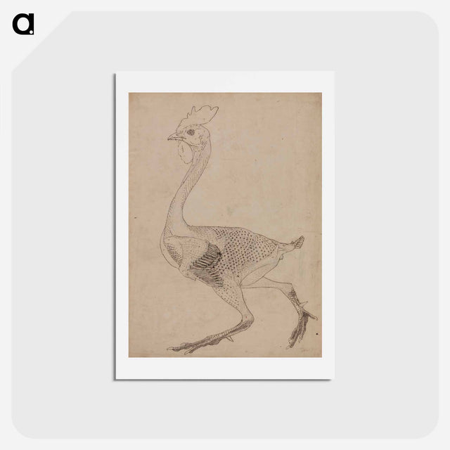 アートポストカード-Fowl Body, Lateral View
 - ジョージ スタッブス Postcard.