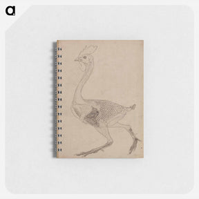 アートメモ帳-Fowl Body, Lateral View
 - ジョージ スタッブス Memo.
