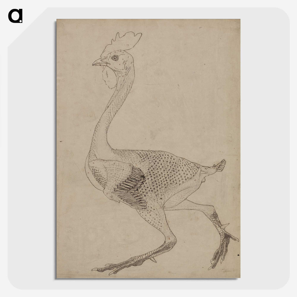 1-94_George-Stubbs_picture-crop
