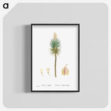 1-94_Histoire-des-Plantes-Grasses_blk-crop