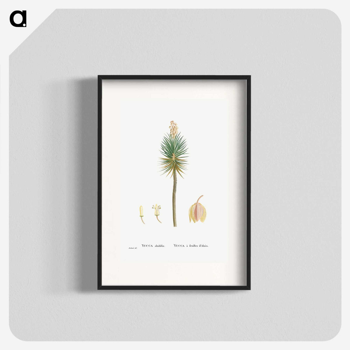 1-94_Histoire-des-Plantes-Grasses_blk