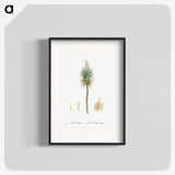 1-94_Histoire-des-Plantes-Grasses_blk