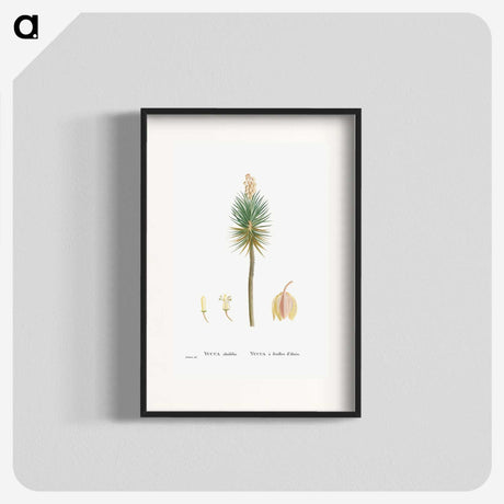 1-94_Histoire-des-Plantes-Grasses_blk