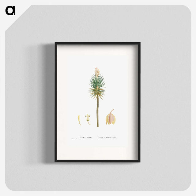 1-94_Histoire-des-Plantes-Grasses_blk