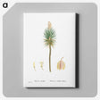 1-94_Histoire-des-Plantes-Grasses_canvas
