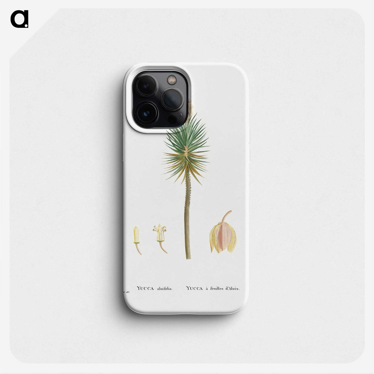 1-94_Histoire-des-Plantes-Grasses_phone