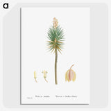 1-94_Histoire-des-Plantes-Grasses_picture-crop