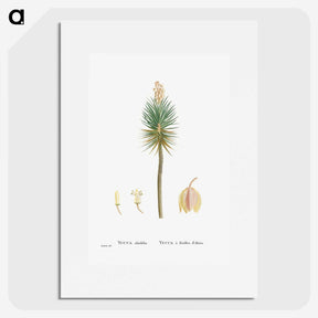1-94_Histoire-des-Plantes-Grasses_picture