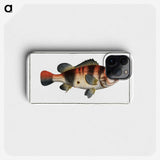 1-94_Ichtyologie-ou-Histoire-naturelle_phone