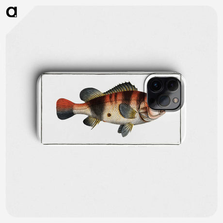 1-94_Ichtyologie-ou-Histoire-naturelle_phone