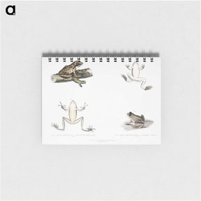 1-94_Indian-Zoology_memo