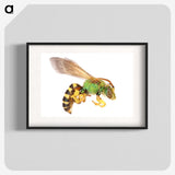 1-94_Insects-Unlocked-Project_blk