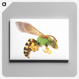 1-94_Insects-Unlocked-Project_canvas