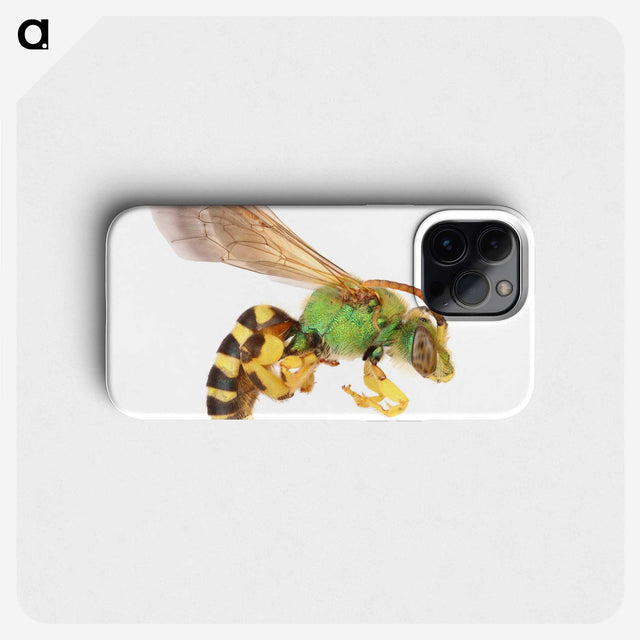 1-94_Insects-Unlocked-Project_phone