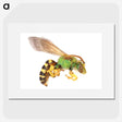 1-94_Insects-Unlocked-Project_picture