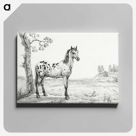アートパネル-Standing mottled horse - ジャン ベルナール Canvas.