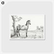 アートポストカード-Standing mottled horse - ジャン ベルナール Postcard.