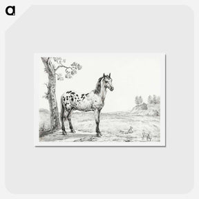 アートポストカード-Standing mottled horse - ジャン ベルナール Postcard.