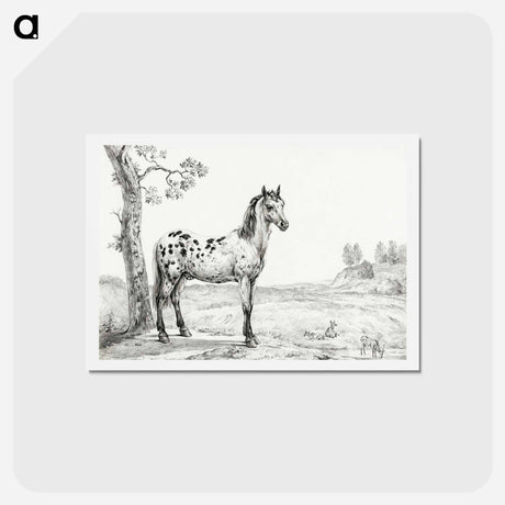 アートポストカード-Standing mottled horse - ジャン ベルナール Postcard.