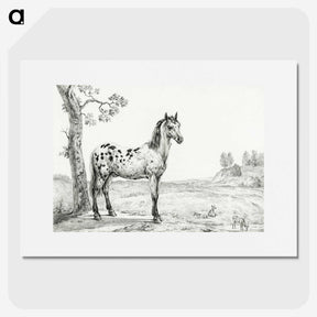 1-94_Jean-Bernard_picture