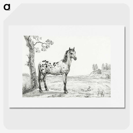 1-94_Jean-Bernard_picture