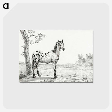 アートポストカード-Standing mottled horse - ジャン ベルナール Postcard.