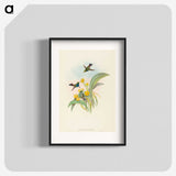 1-94_John-Gould_blk