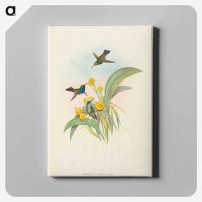 1-94_John-Gould_canvas