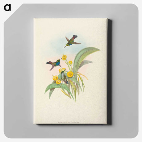 1-94_John-Gould_canvas