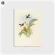 1-94_John-Gould_postcard