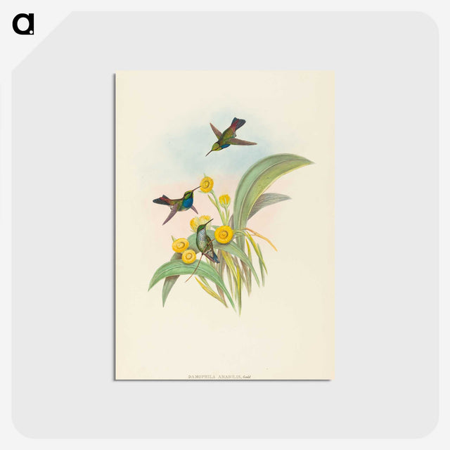 1-94_John-Gould_postcard