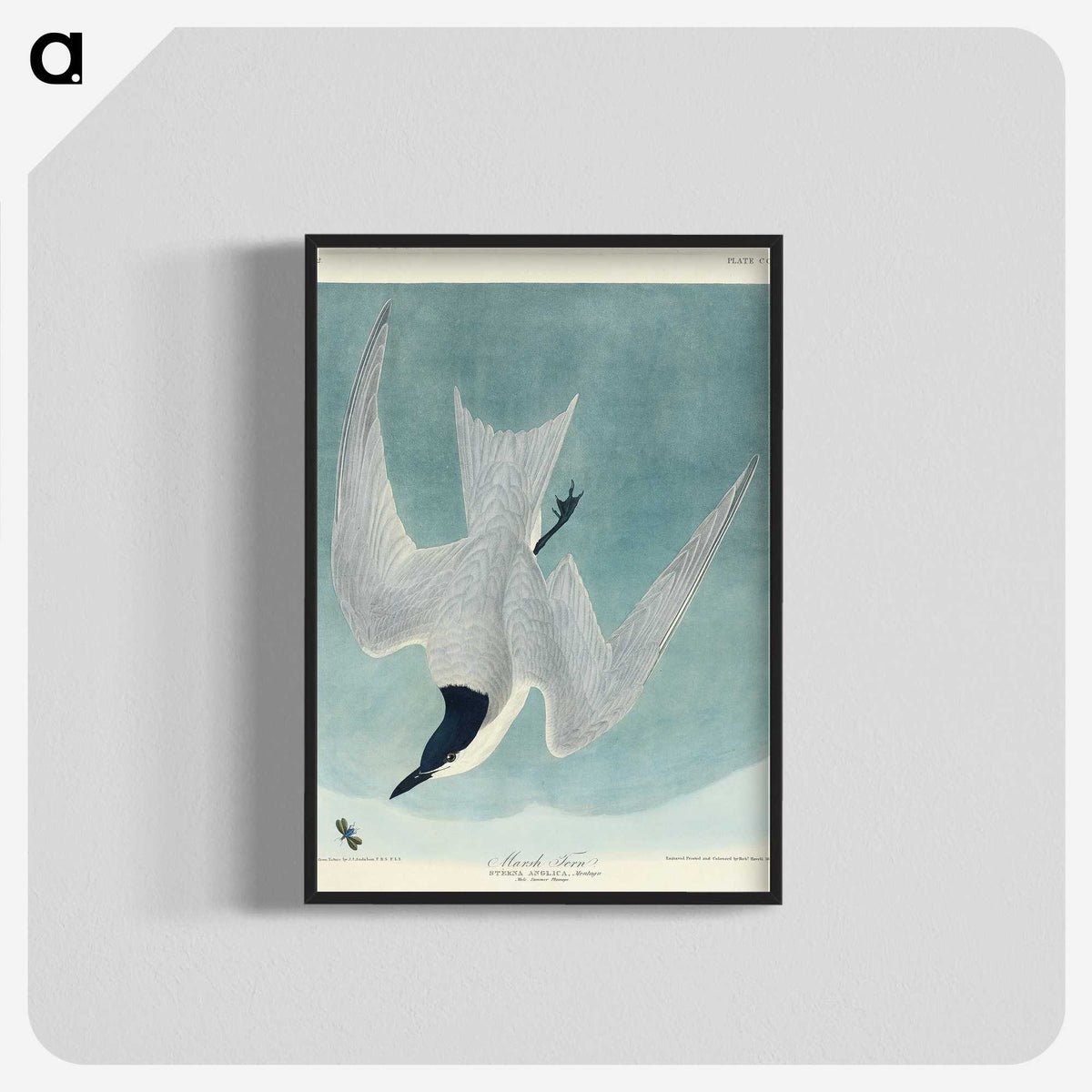 1-94_John-James-Audubon_blk-crop