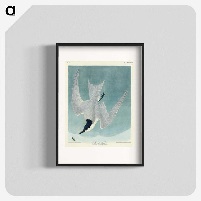 1-94_John-James-Audubon_blk