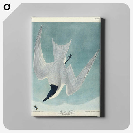 1-94_John-James-Audubon_canvas