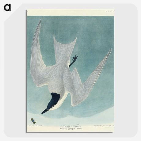 1-94_John-James-Audubon_picture-crop
