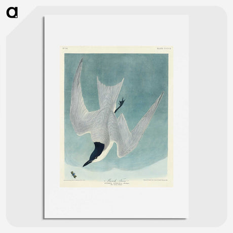 1-94_John-James-Audubon_picture