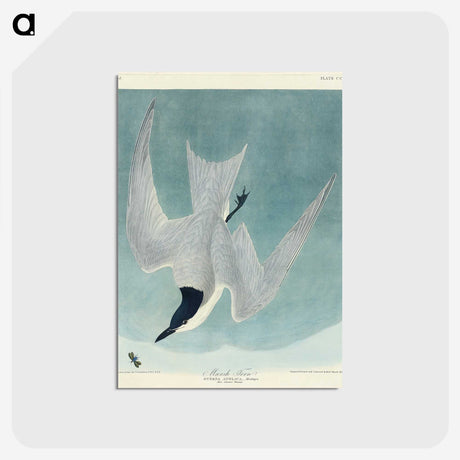 1-94_John-James-Audubon_postcard