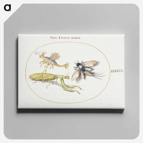 1-94_Joris-Hoefnagel_canvas