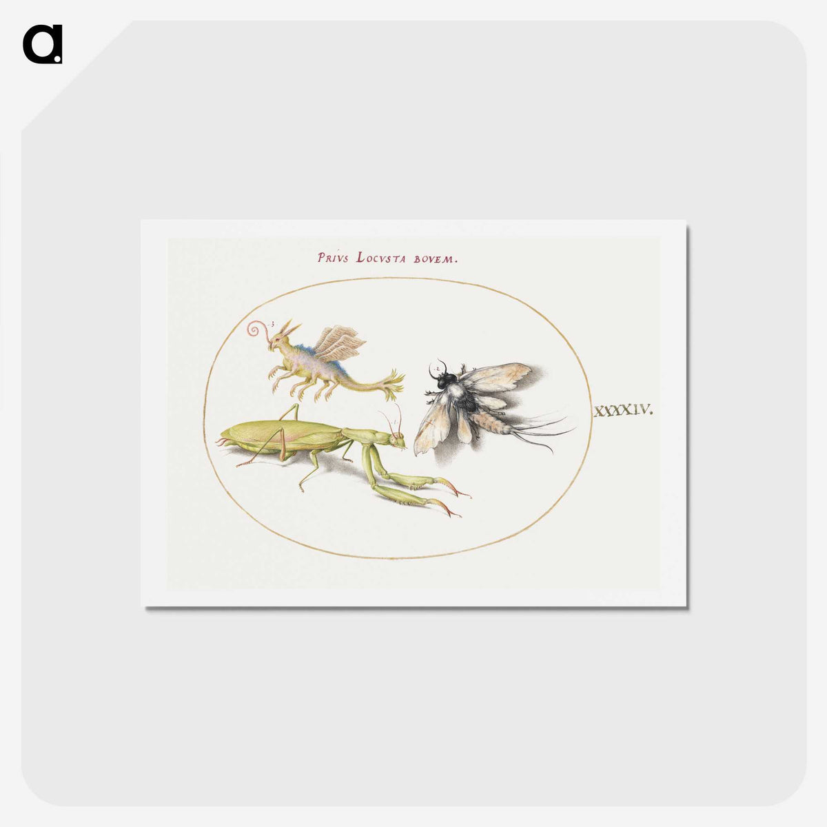 1-94_Joris-Hoefnagel_hagaki