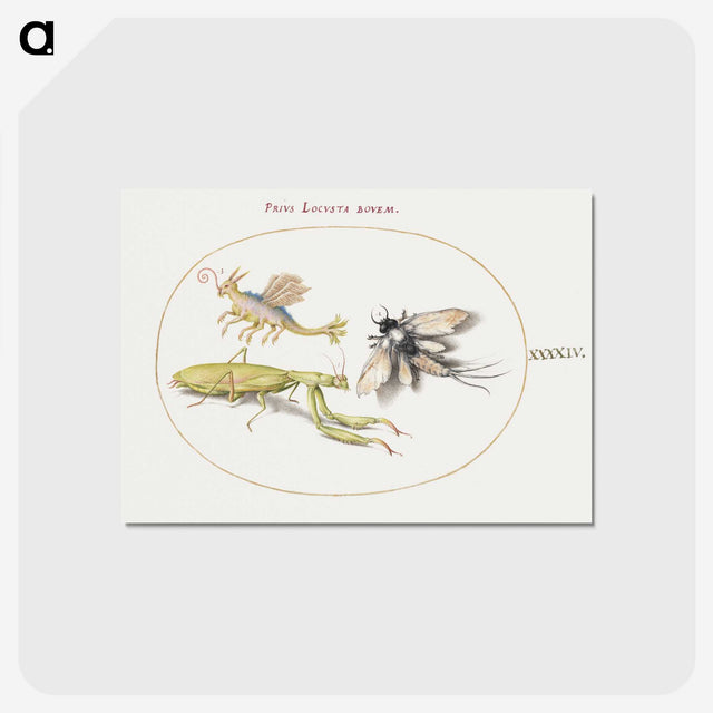 1-94_Joris-Hoefnagel_postcard